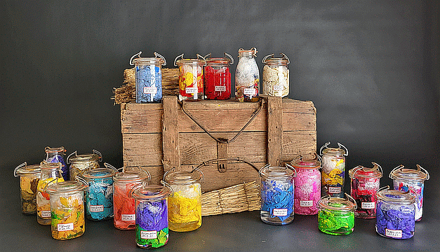 Detailsansicht Bewerbungsfoto